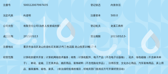 重庆小糊涂网络科技 计算机软硬件开发的创新之路